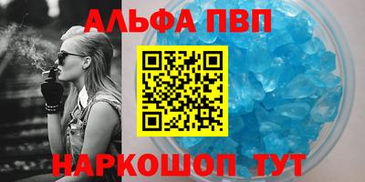 бошки Кингисепп