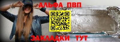 бошки Кингисепп