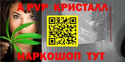 бошки Кингисепп