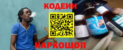 бошки Кингисепп