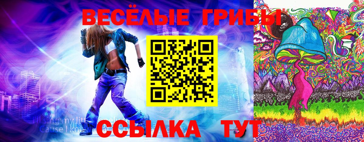 Иркутск  Псилоцибиновые грибы ЛСД  Галлюциногенные грибы Cubensis  Вход с VPN 